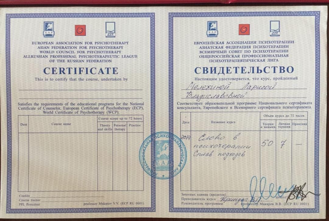 Слово в психотерапии. Сплав подходов. Восемь курсов по психотерапии, руководитель программы проф. В.В. Макаров